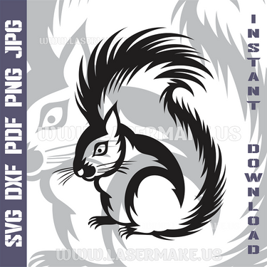 SQUIRREL Laser and Cricut SVG Vector Files